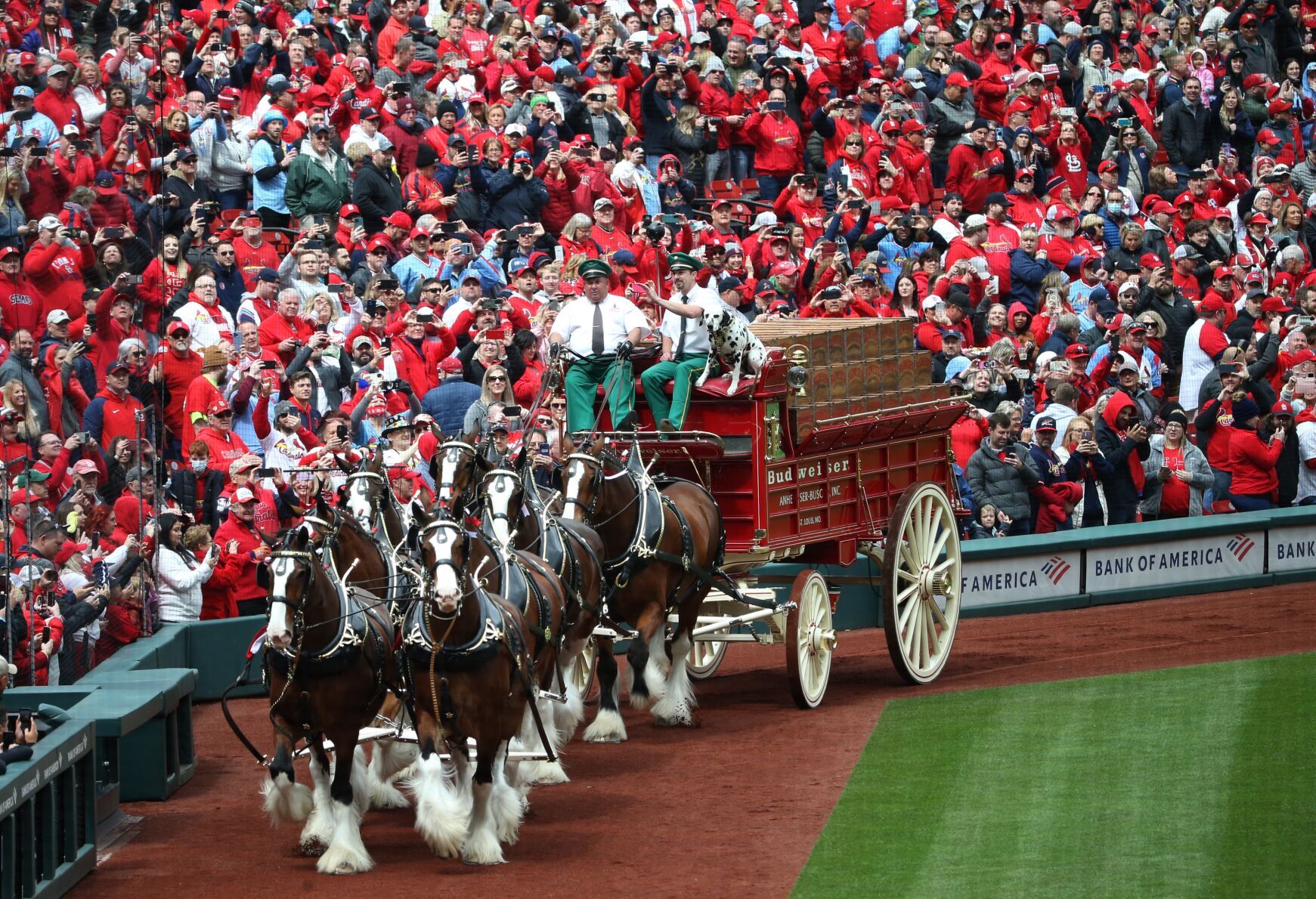 St. Louis Cardinals pregame ceremonies